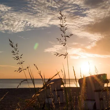 Ferienbungalow Kastanie *